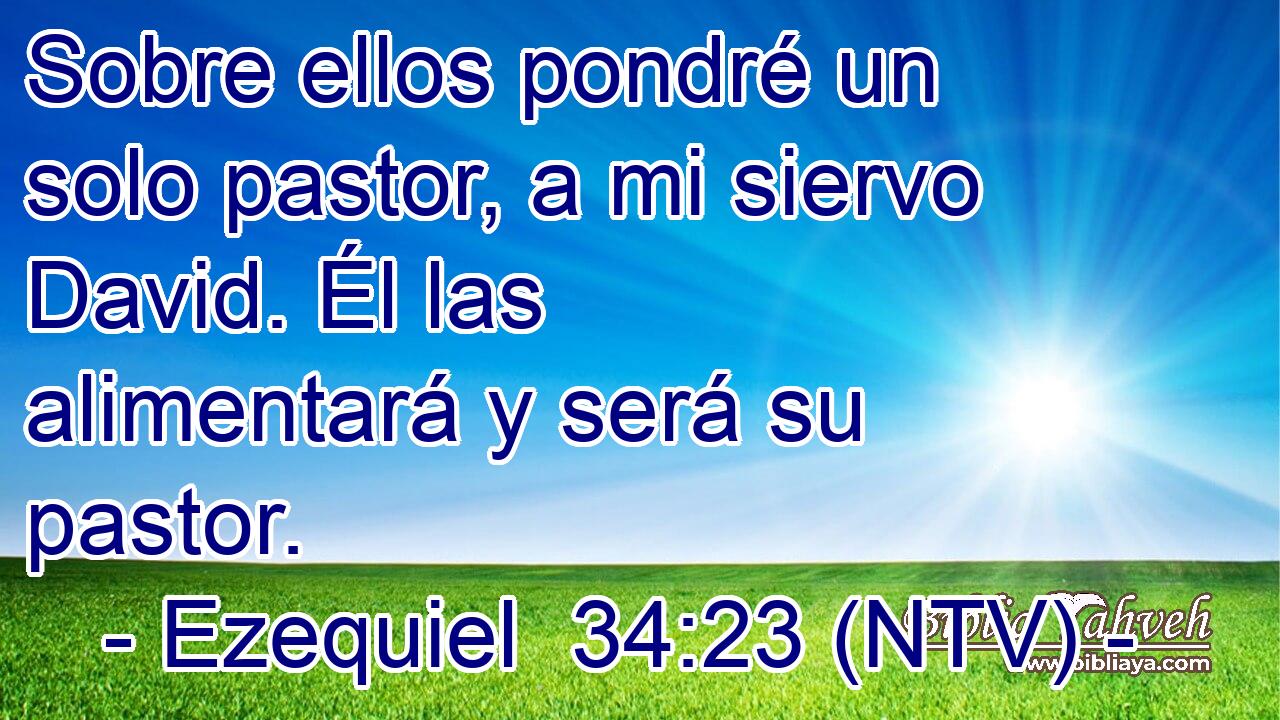 Sobre ellos pondré un solo pastor, a mi siervo David. Él las alimentará y será su pastor.