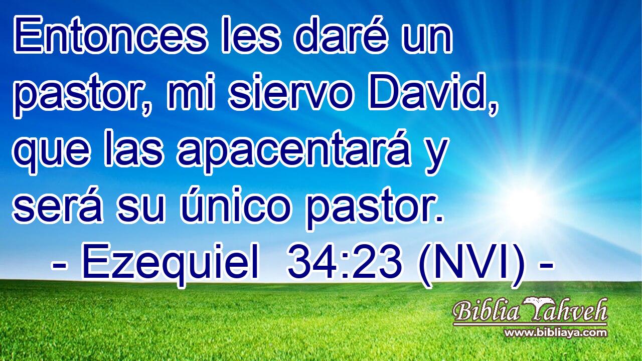  Entonces les daré un pastor, mi siervo David, que las apacentará y será su único pastor. 