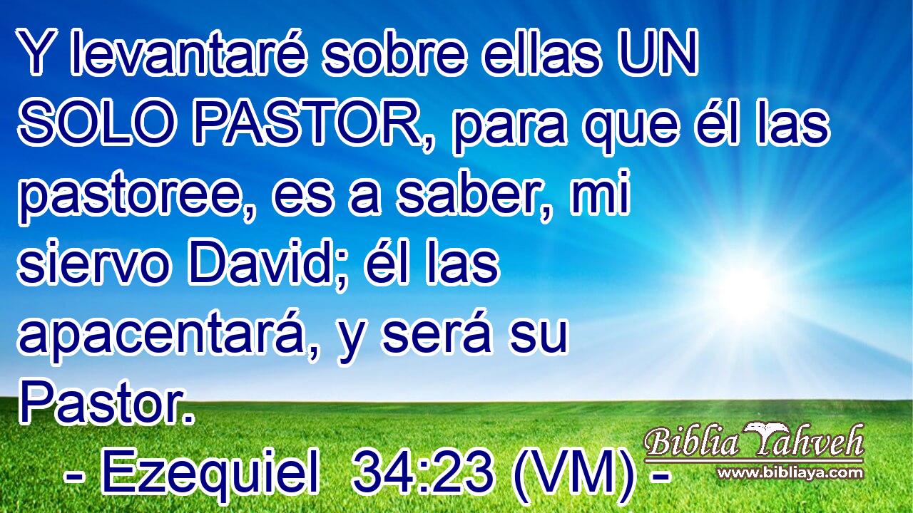  Y levantaré sobre ellas UN SOLO PASTOR, para que él las pastoree, es a saber, mi siervo David; él las apacentará, y será su Pastor. 