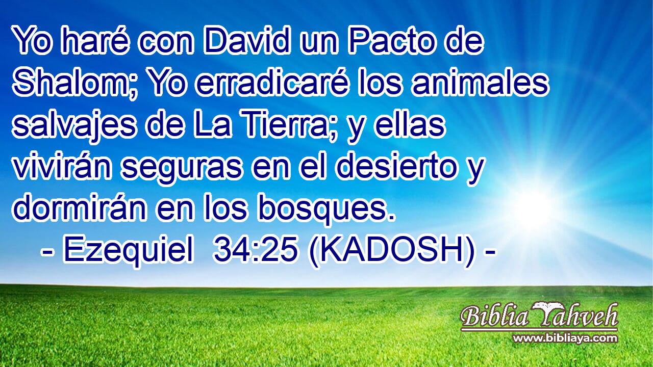  Yo haré con David un Pacto de Shalom; Yo erradicaré los animales salvajes de La Tierra; y ellas vivirán seguras en el desierto y dormirán en los bosques. 