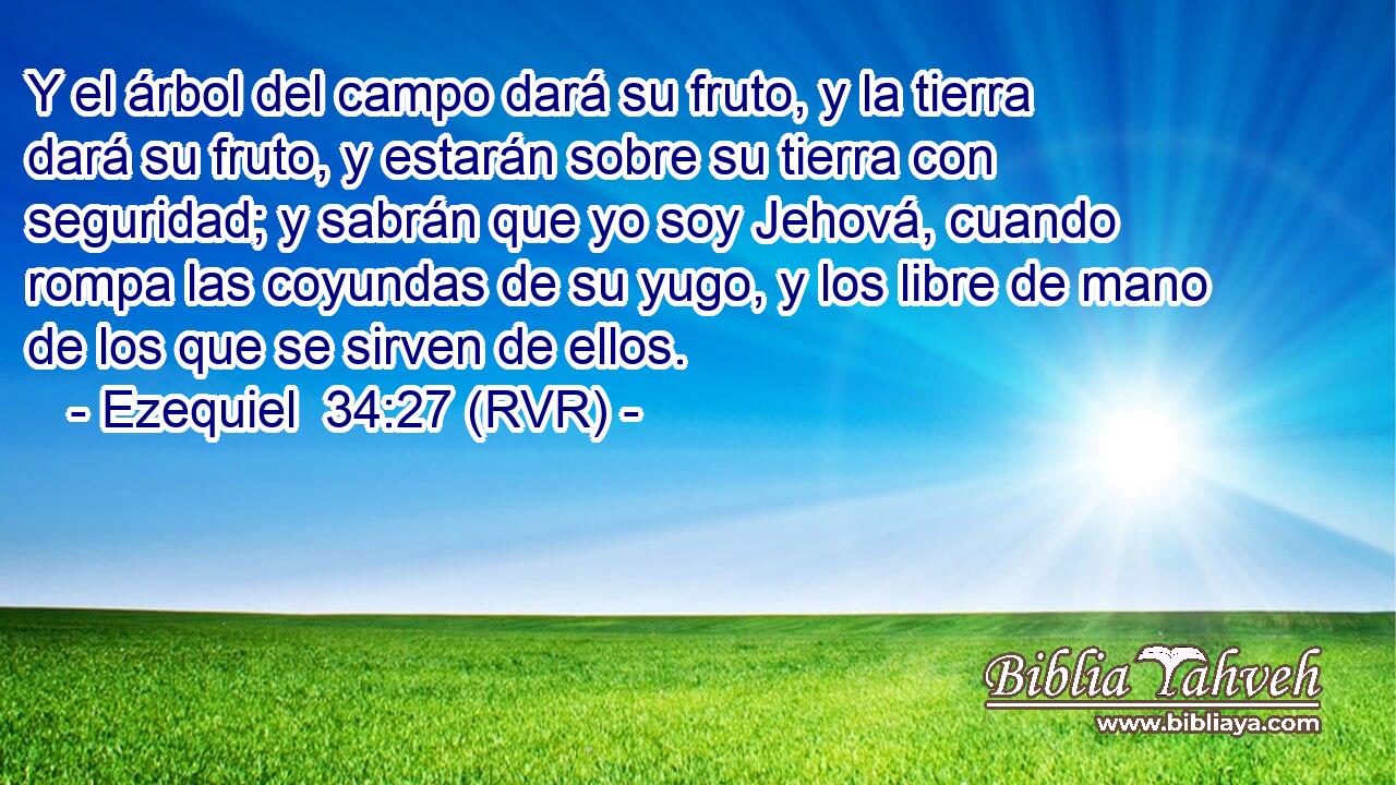Y el árbol del campo dará su fruto, y la tierra dará su fruto, y estarán sobre su tierra con seguridad; y sabrán que yo soy Jehová, cuando rompa las coyundas de su yugo, y los libre de mano de los que se sirven de ellos.