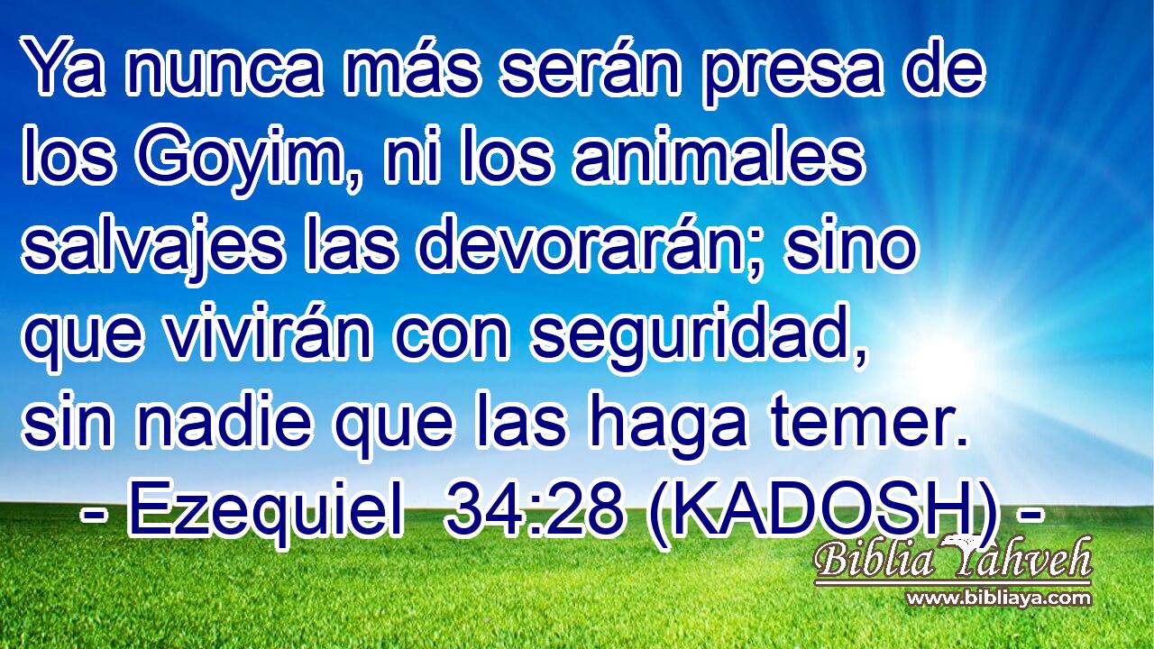  Ya nunca más serán presa de los Goyim, ni los animales salvajes las devorarán; sino que vivirán con seguridad, sin nadie que las haga temer. 