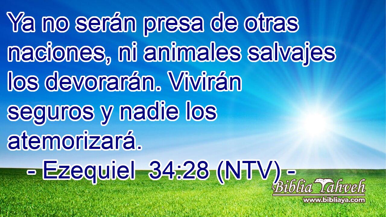 Ya no serán presa de otras naciones, ni animales salvajes los devorarán. Vivirán seguros y nadie los atemorizará.