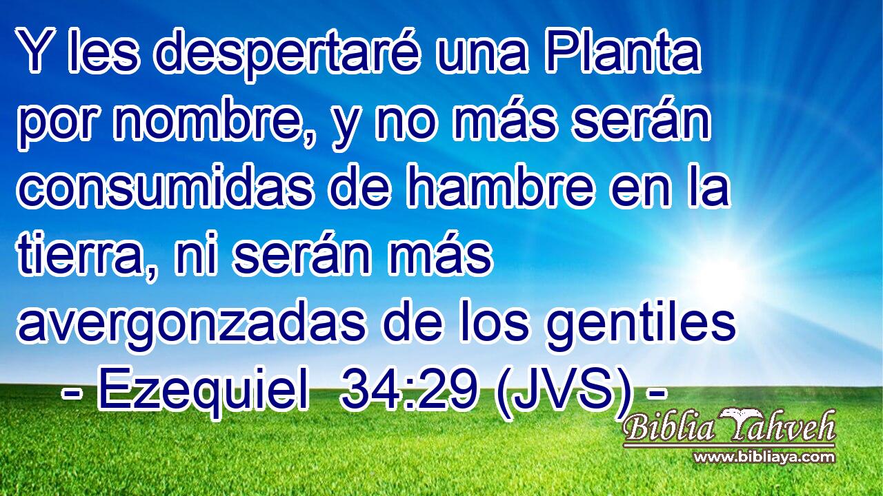 Y les despertaré una Planta por nombre, y no más serán consumidas de hambre en la tierra, ni serán más avergonzadas de los gentiles