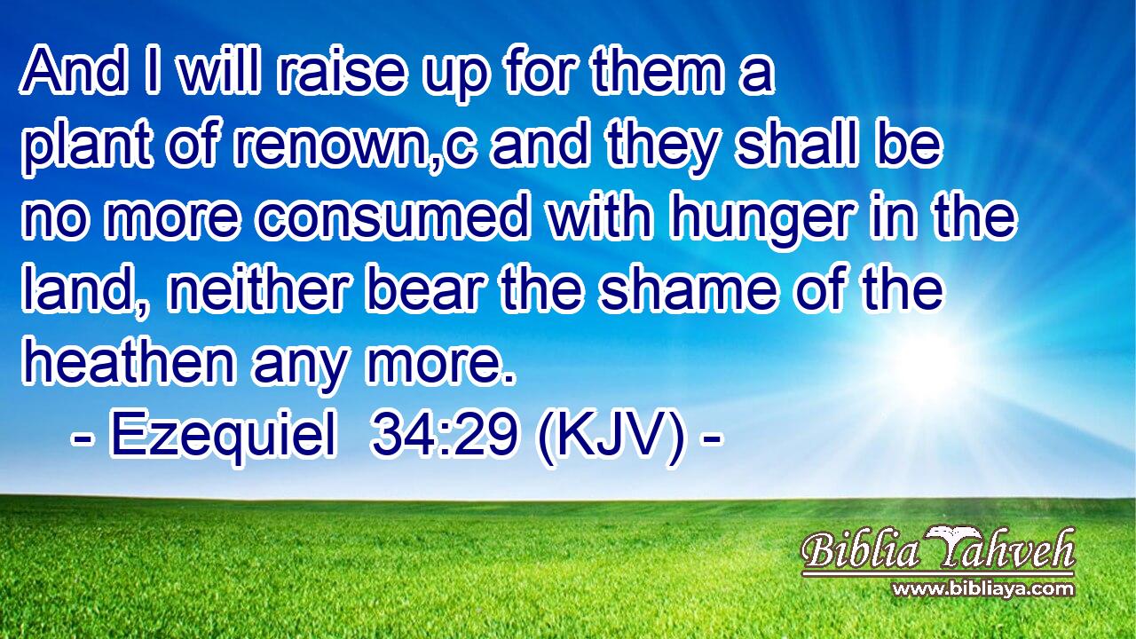And I will raise up for them a plant of renown,c and they shall be no more consumed with hunger in the land, neither bear the shame of the heathen any more.
