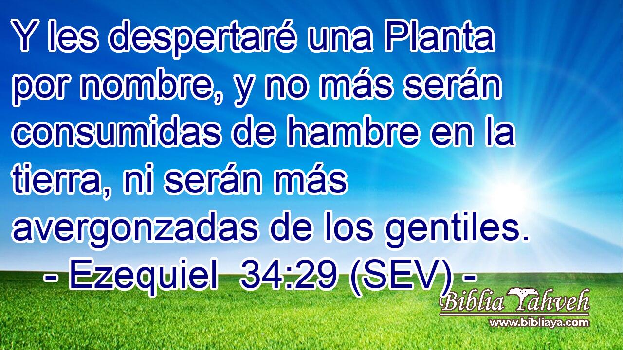 Y les despertaré una Planta por nombre, y no más serán consumidas de hambre en la tierra, ni serán más avergonzadas de los gentiles.