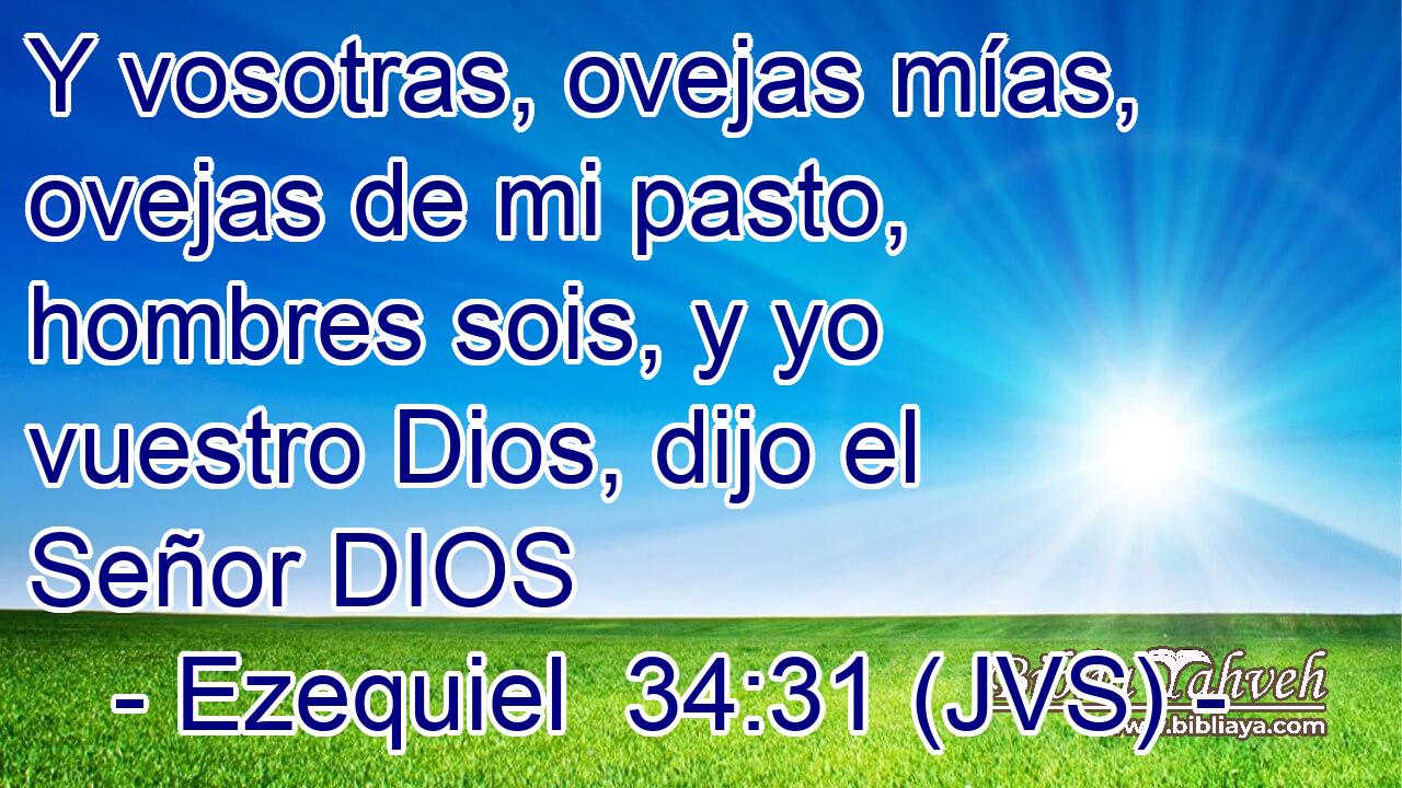 Y vosotras, ovejas mías, ovejas de mi pasto, hombres sois, y yo vuestro Dios, dijo el Señor DIOS