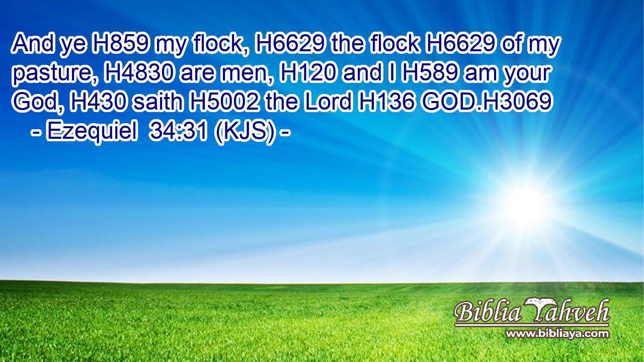 And ye H859 my flock, H6629 the flock H6629 of my pasture, H4830 are men, H120 and I H589 am your God, H430 saith H5002 the Lord H136 GOD.H3069