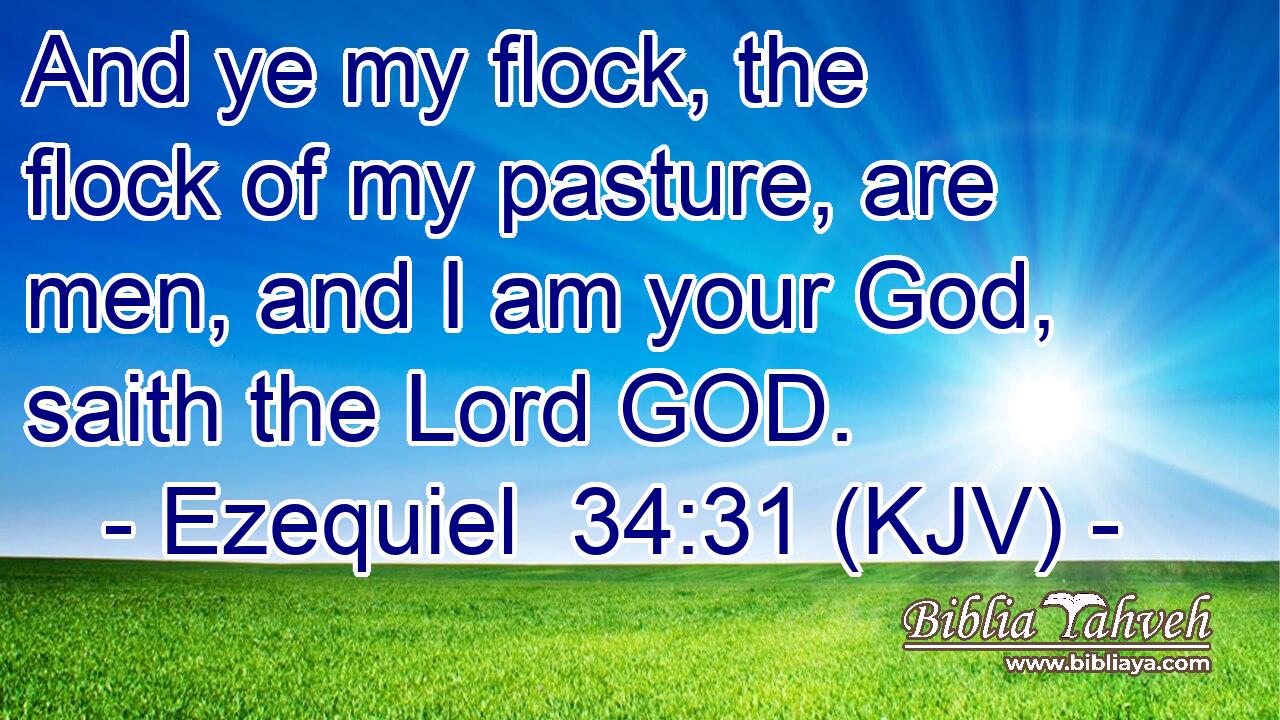 And ye my flock, the flock of my pasture, are men, and I am your God, saith the Lord GOD.