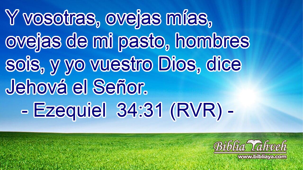 Y vosotras, ovejas mías, ovejas de mi pasto, hombres sois, y yo vuestro Dios, dice Jehová el Señor.