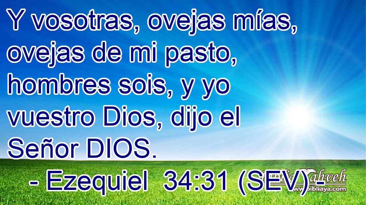 Y vosotras, ovejas mías, ovejas de mi pasto, hombres sois, y yo vuestro Dios, dijo el Señor DIOS.