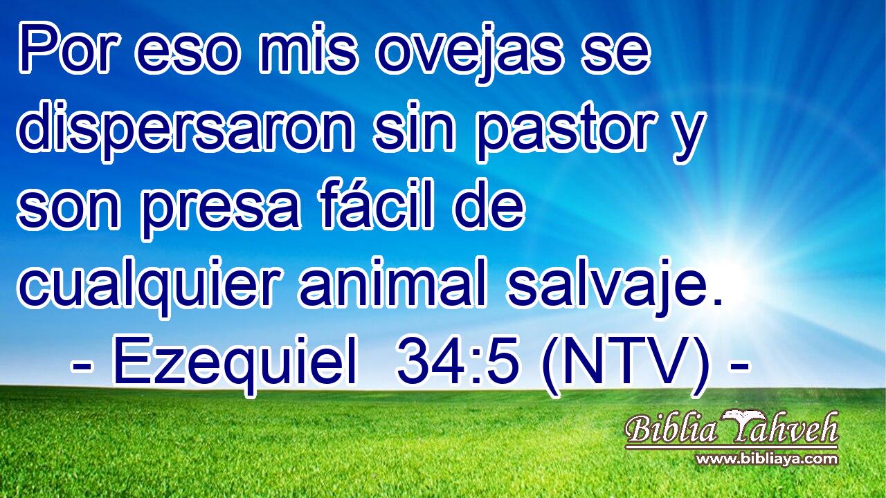 Por eso mis ovejas se dispersaron sin pastor y son presa fácil de cualquier animal salvaje.