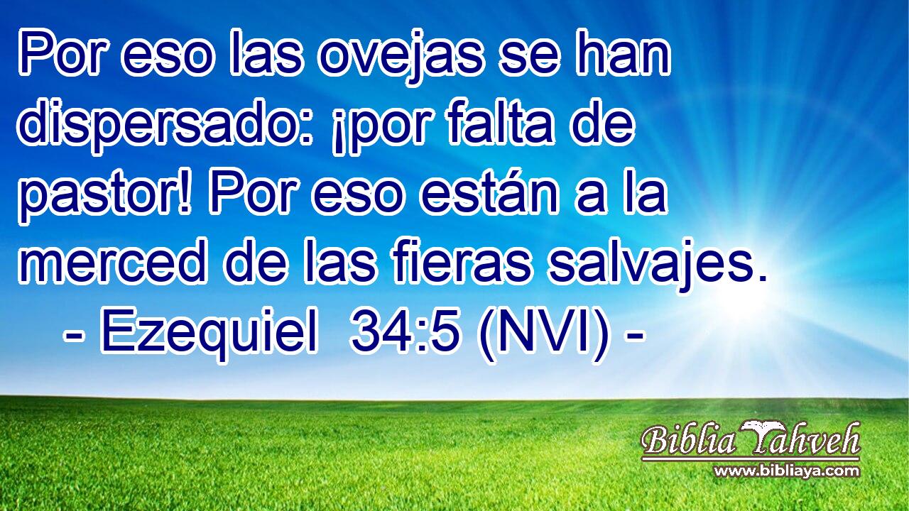  Por eso las ovejas se han dispersado: ¡por falta de pastor! Por eso están a la merced de las fieras salvajes. 
