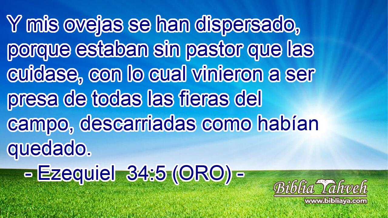  Y mis ovejas se han dispersado, porque estaban sin pastor que las cuidase, con lo cual vinieron a ser presa de todas las fieras del campo, descarriadas como habían quedado. 