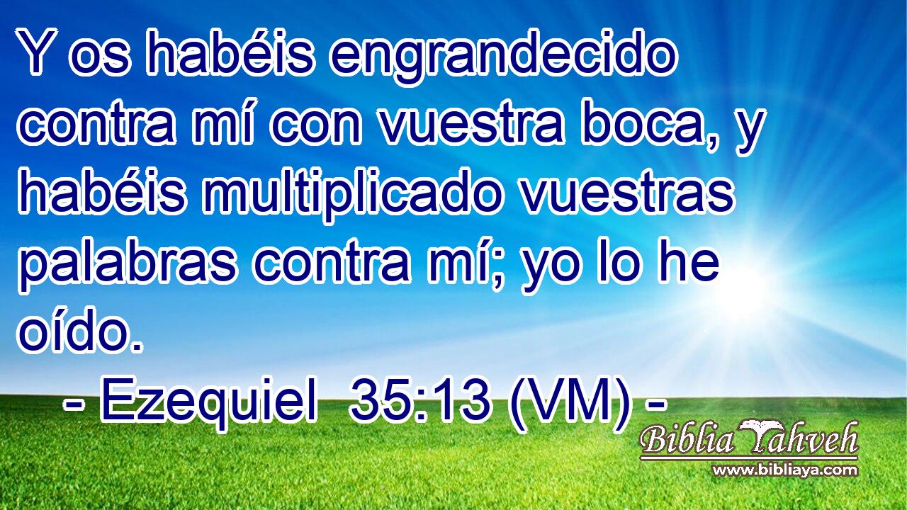  Y os habéis engrandecido contra mí con vuestra boca, y habéis multiplicado vuestras palabras contra mí; yo lo he oído. 