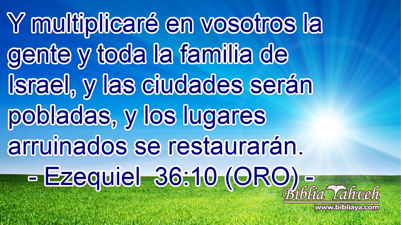  Y multiplicaré en vosotros la gente y toda la familia de Israel, y las ciudades serán pobladas, y los lugares arruinados se restaurarán. 