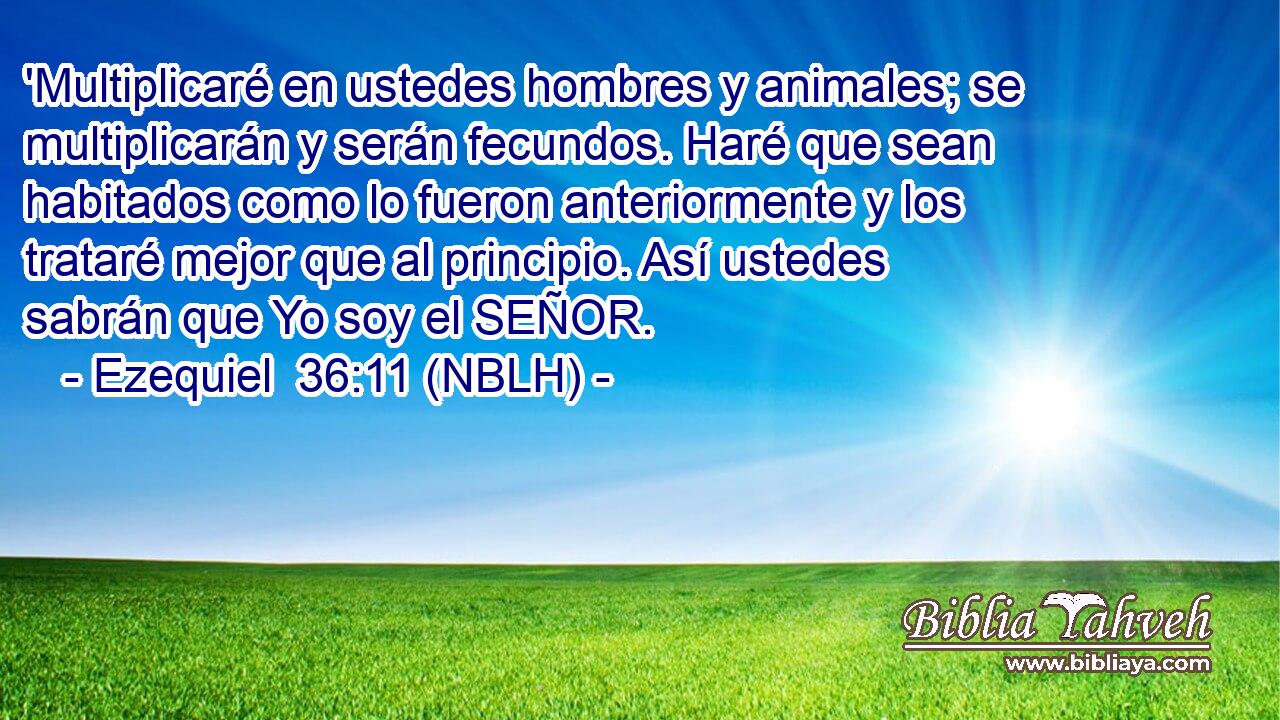  'Multiplicaré en ustedes hombres y animales; se multiplicarán y serán fecundos. Haré que sean habitados como lo fueron anteriormente y los trataré mejor que al principio. Así ustedes sabrán que Yo soy el SEÑOR. 