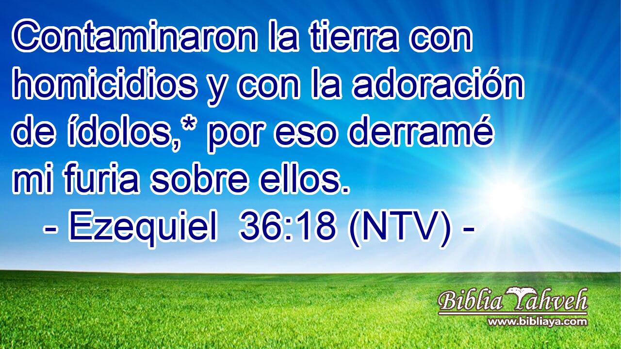 Contaminaron la tierra con homicidios y con la adoración de ídolos,* por eso derramé mi furia sobre ellos.