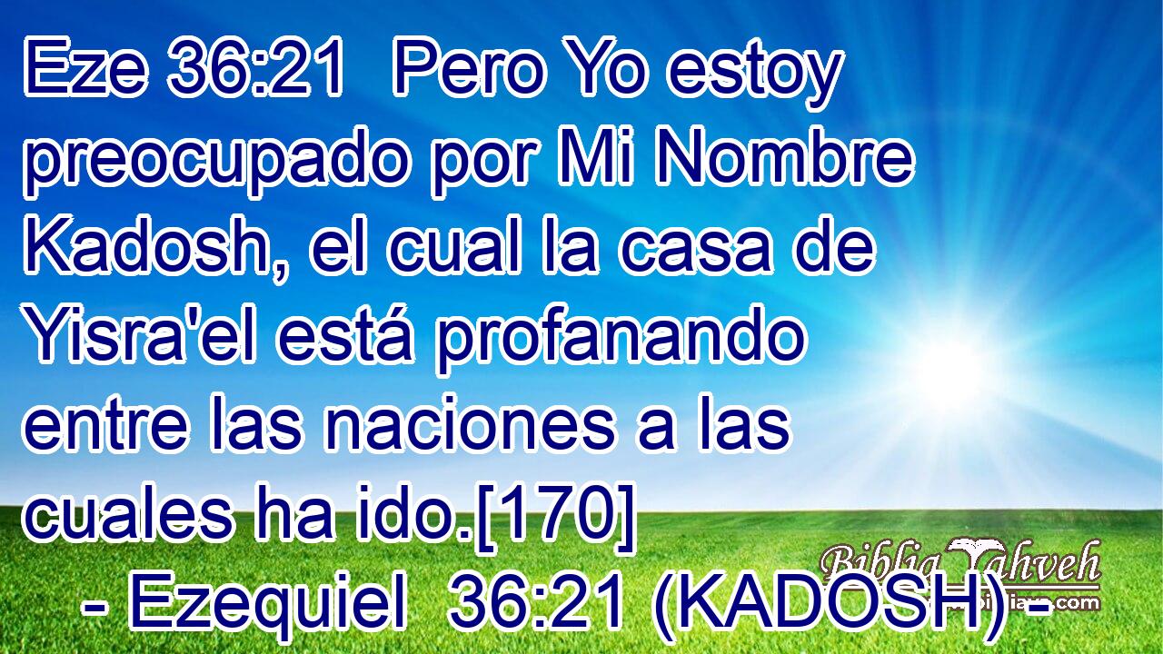  Pero Yo estoy preocupado por Mi Nombre Kadosh, el cual la casa de Yisra'el está profanando entre las naciones a las cuales ha ido.[170] 