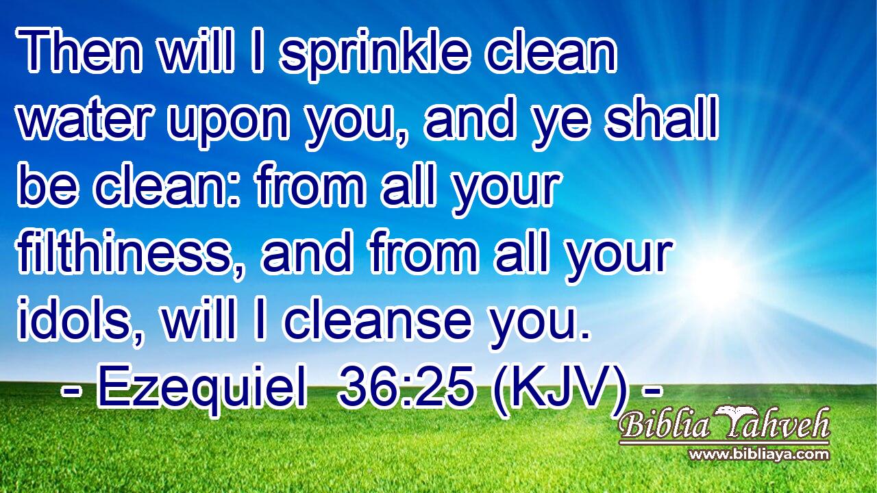 Then will I sprinkle clean water upon you, and ye shall be clean: from all your filthiness, and from all your idols, will I cleanse you.