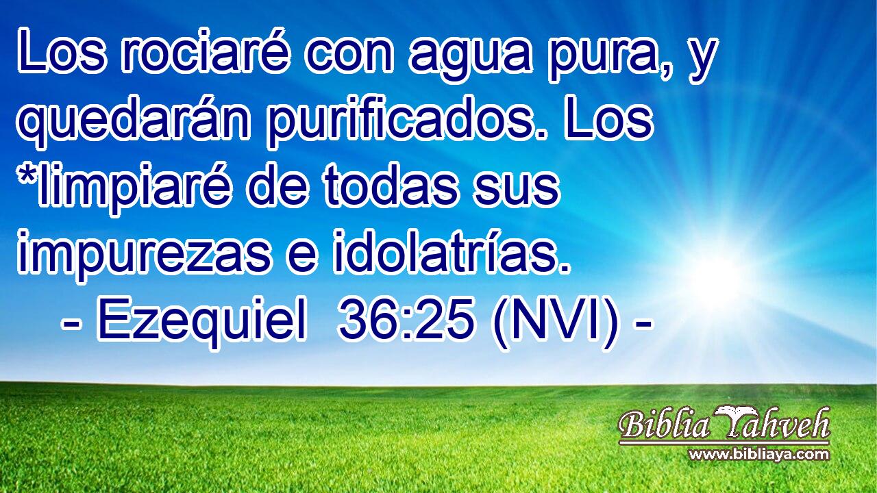  Los rociaré con agua pura, y quedarán purificados. Los *limpiaré de todas sus impurezas e idolatrías. 