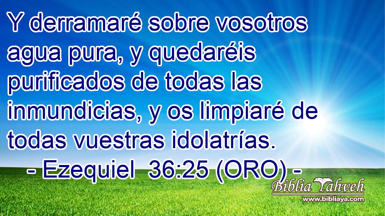  Y derramaré sobre vosotros agua pura, y quedaréis purificados de todas las inmundicias, y os limpiaré de todas vuestras idolatrías. 