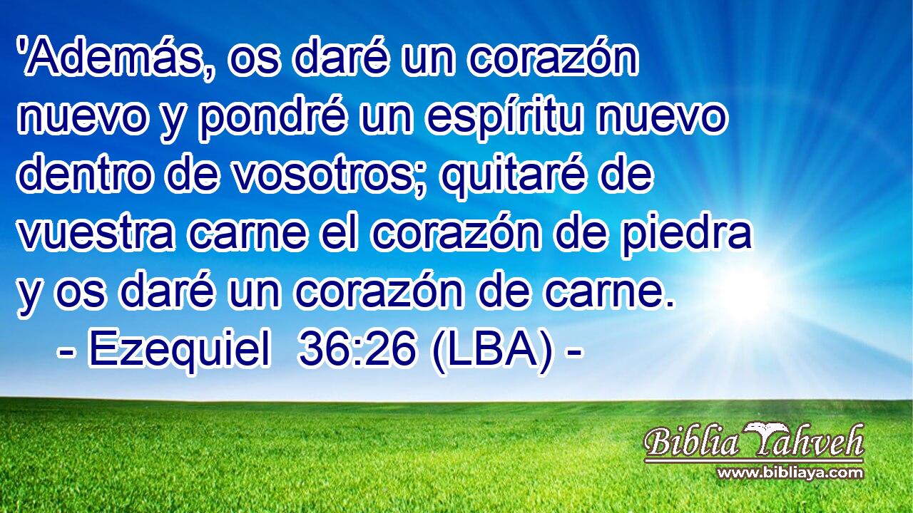 'Además, os daré un corazón nuevo y pondré un espíritu nuevo dentro de vosotros; quitaré de vuestra carne el corazón de piedra y os daré un corazón de carne.