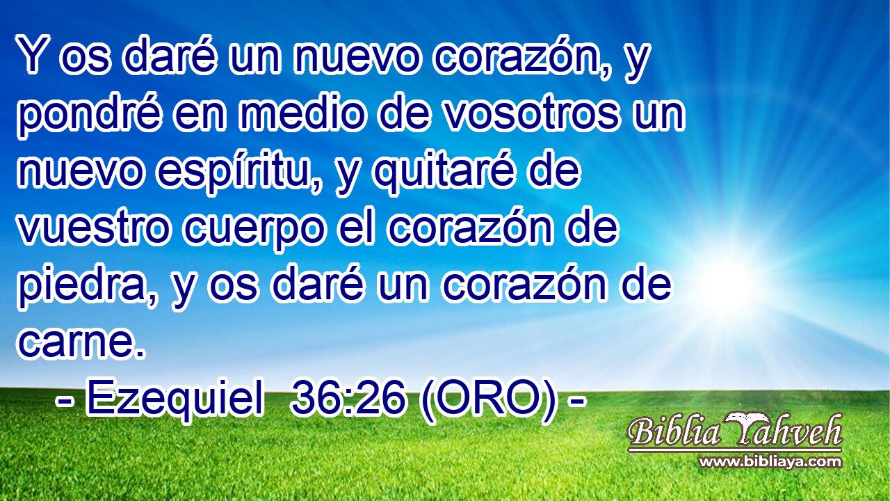  Y os daré un nuevo corazón, y pondré en medio de vosotros un nuevo espíritu, y quitaré de vuestro cuerpo el corazón de piedra, y os daré un corazón de carne. 