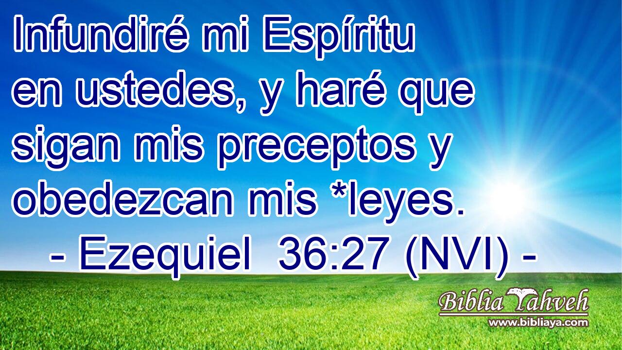  Infundiré mi Espíritu en ustedes, y haré que sigan mis preceptos y obedezcan mis *leyes. 
