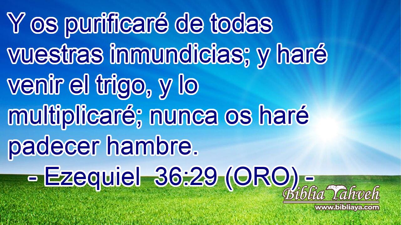  Y os purificaré de todas vuestras inmundicias; y haré venir el trigo, y lo multiplicaré; nunca os haré padecer hambre. 