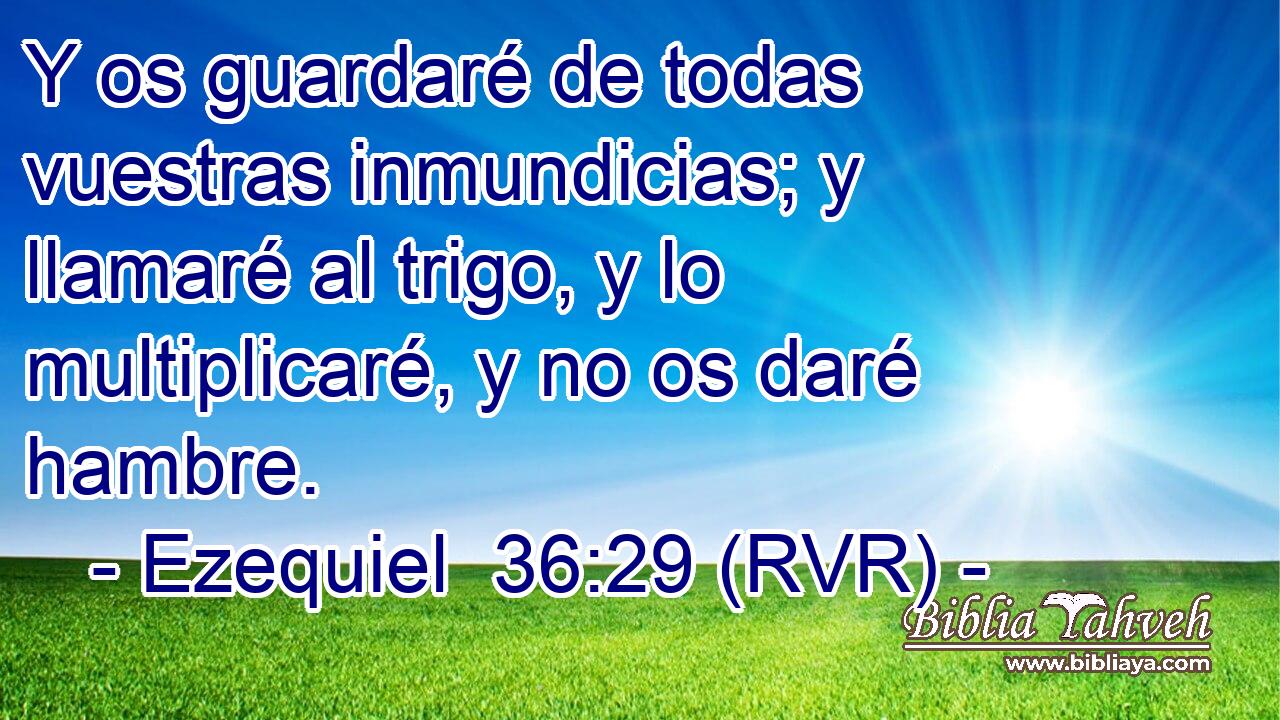 Y os guardaré de todas vuestras inmundicias; y llamaré al trigo, y lo multiplicaré, y no os daré hambre.