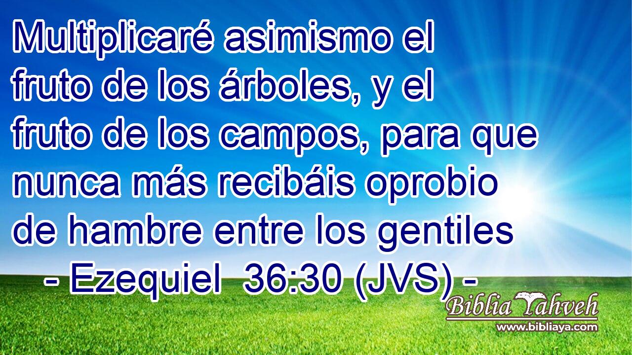Multiplicaré asimismo el fruto de los árboles, y el fruto de los campos, para que nunca más recibáis oprobio de hambre entre los gentiles