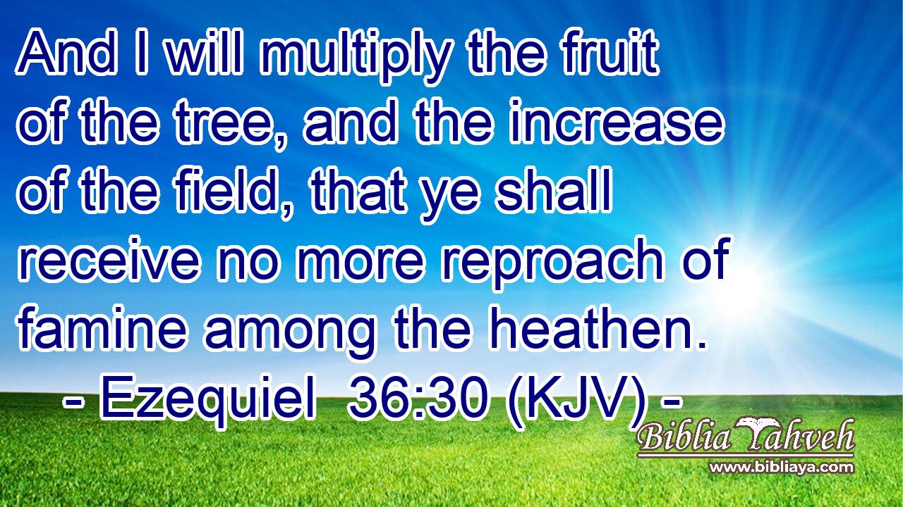 And I will multiply the fruit of the tree, and the increase of the field, that ye shall receive no more reproach of famine among the heathen.
