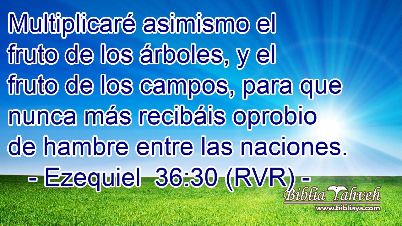 Multiplicaré asimismo el fruto de los árboles, y el fruto de los campos, para que nunca más recibáis oprobio de hambre entre las naciones.