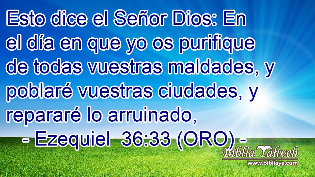  Esto dice el Señor Dios: En el día en que yo os purifique de todas vuestras maldades, y poblaré vuestras ciudades, y repararé lo arruinado, 