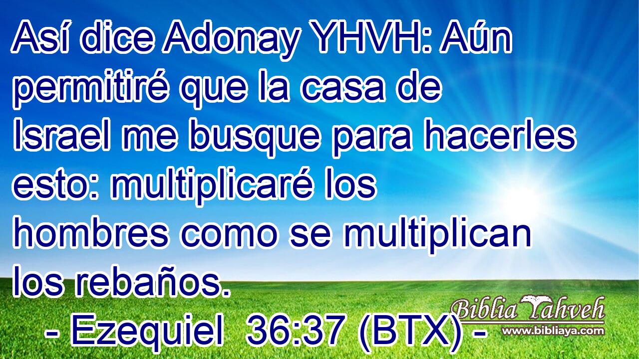Así dice Adonay YHVH: Aún permitiré que la casa de Israel me busque para hacerles esto: multiplicaré los hombres como se multiplican los rebaños.