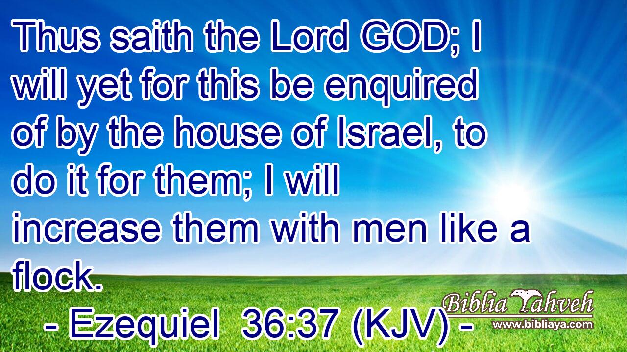 Thus saith the Lord GOD; I will yet for this be enquired of by the house of Israel, to do it for them; I will increase them with men like a flock.