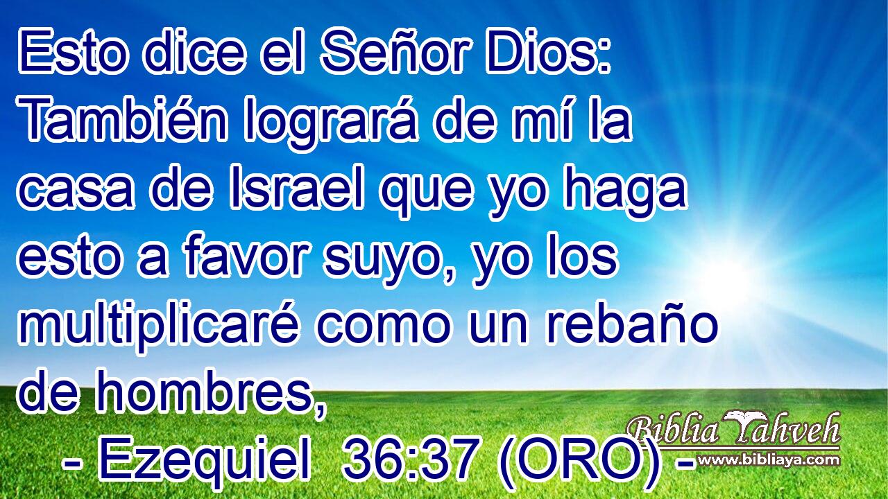  Esto dice el Señor Dios: También logrará de mí la casa de Israel que yo haga esto a favor suyo, yo los multiplicaré como un rebaño de hombres, 