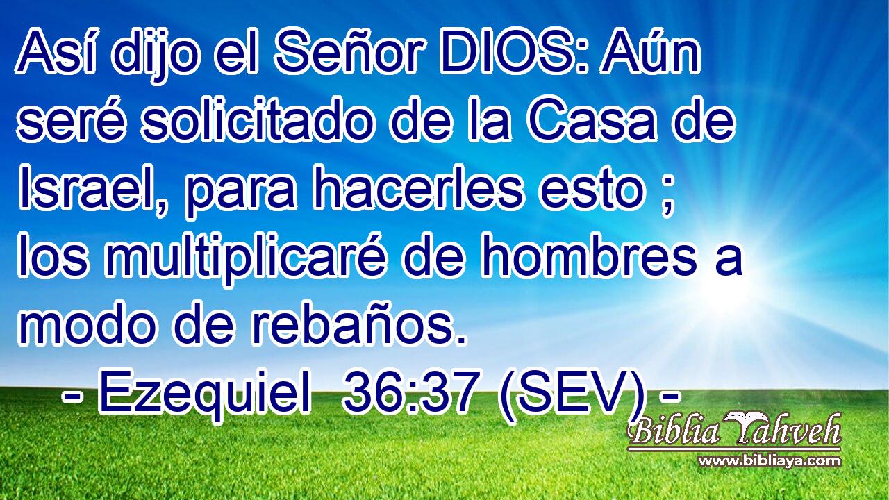Así dijo el Señor DIOS: Aún seré solicitado de la Casa de Israel, para hacerles esto ; los multiplicaré de hombres a modo de rebaños.