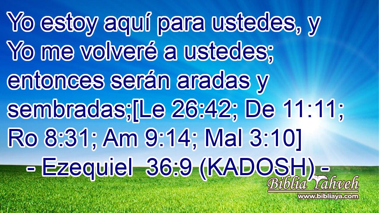  Yo estoy aquí para ustedes, y Yo me volveré a ustedes; entonces serán aradas y sembradas;[Le 26:42; De 11:11; Ro 8:31; Am 9:14; Mal 3:10] 