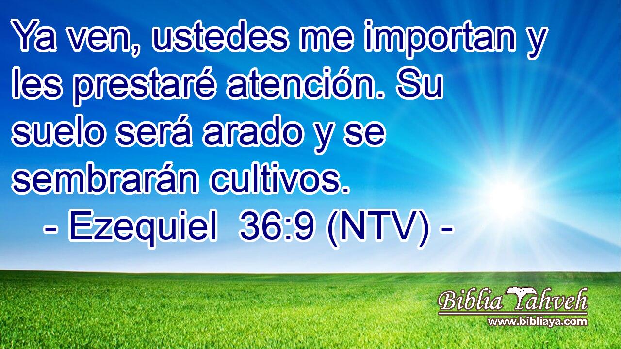 Ya ven, ustedes me importan y les prestaré atención. Su suelo será arado y se sembrarán cultivos.