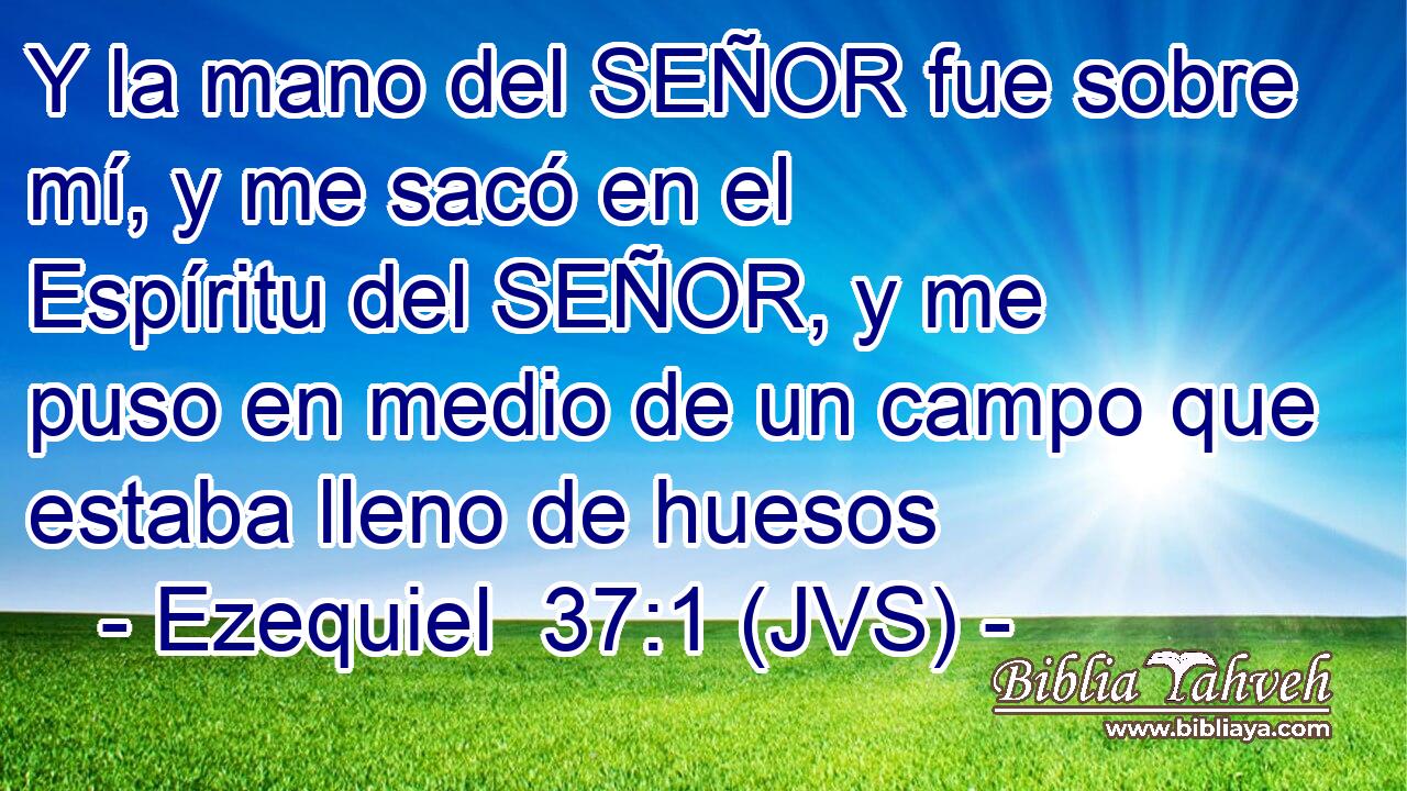 Y la mano del SEÑOR fue sobre mí, y me sacó en el Espíritu del SEÑOR, y me puso en medio de un campo que estaba lleno de huesos