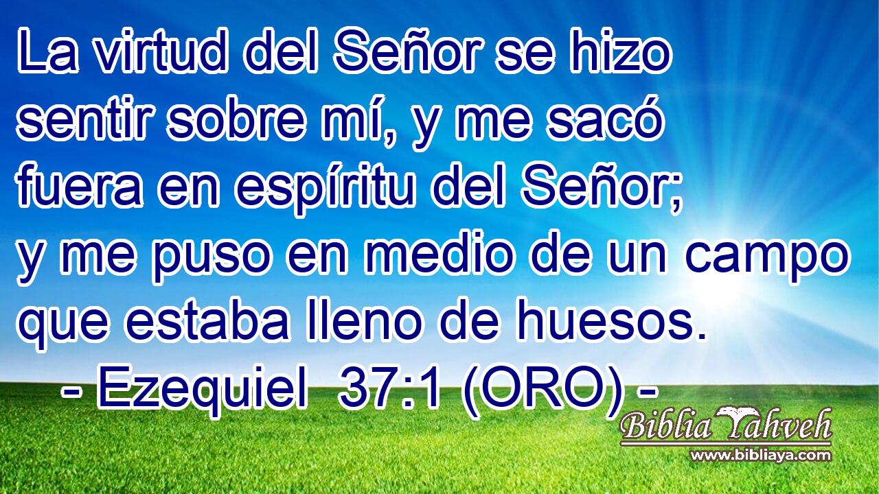  La virtud del Señor se hizo sentir sobre mí, y me sacó fuera en espíritu del Señor; y me puso en medio de un campo que estaba lleno de huesos. 