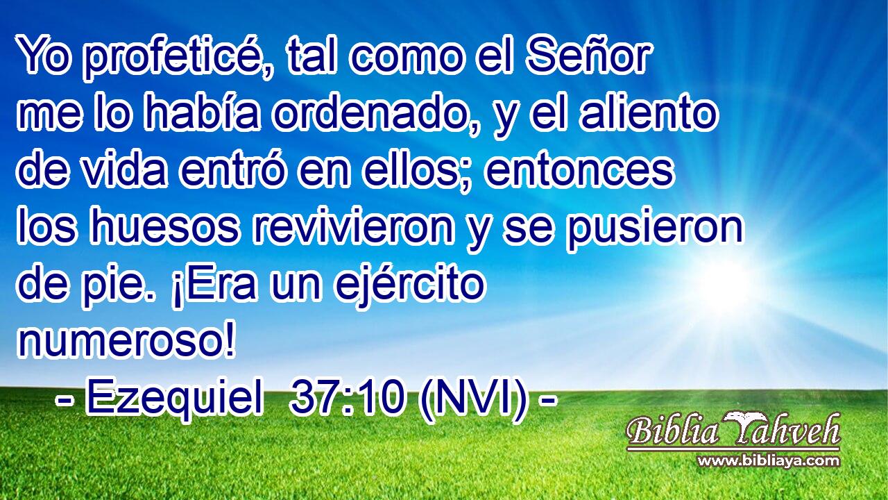  Yo profeticé, tal como el Señor me lo había ordenado, y el aliento de vida entró en ellos; entonces los huesos revivieron y se pusieron de pie. ¡Era un ejército numeroso! 