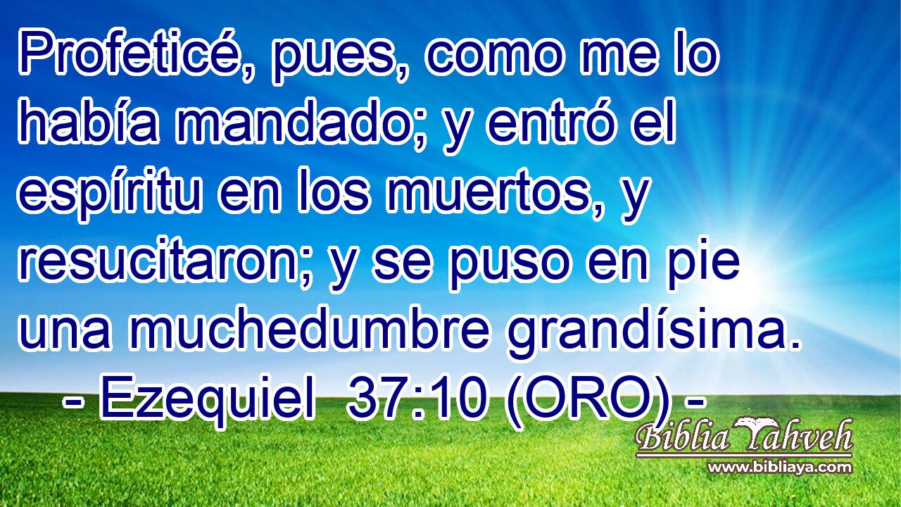  Profeticé, pues, como me lo había mandado; y entró el espíritu en los muertos, y resucitaron; y se puso en pie una muchedumbre grandísima. 