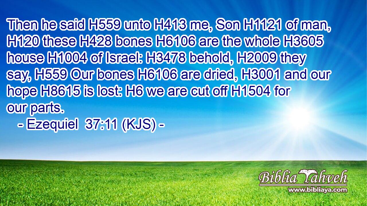 Then he said H559 unto H413 me, Son H1121 of man, H120 these H428 bones H6106 are the whole H3605 house H1004 of Israel: H3478 behold, H2009 they say, H559 Our bones H6106 are dried, H3001 and our hope H8615 is lost: H6 we are cut off H1504 for our parts.