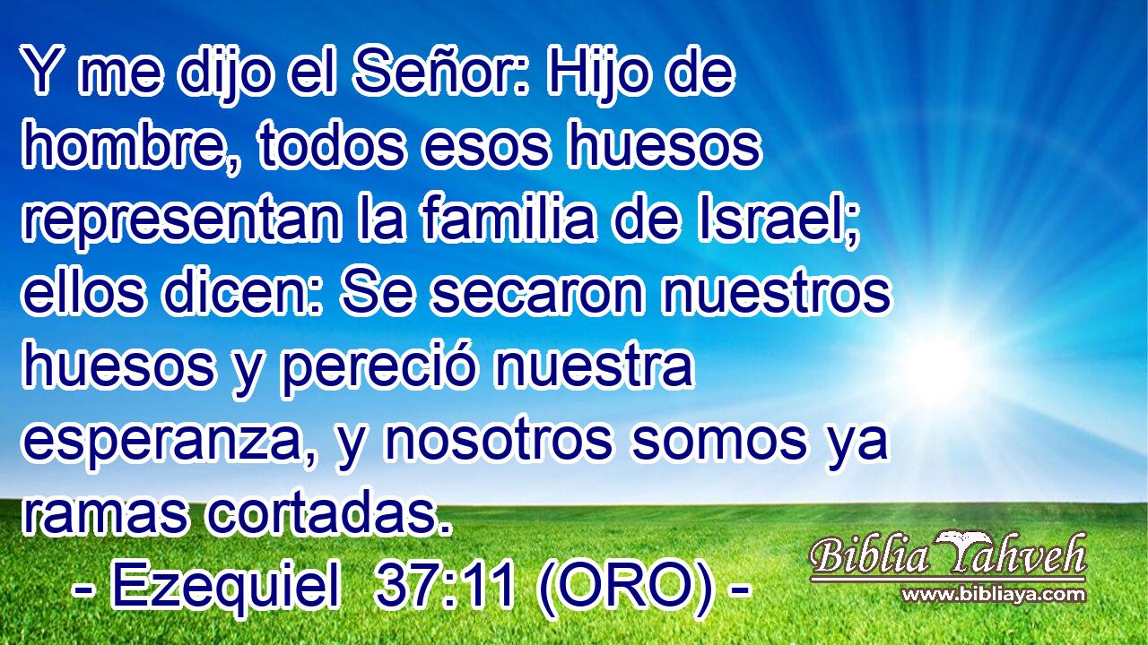  Y me dijo el Señor: Hijo de hombre, todos esos huesos representan la familia de Israel; ellos dicen: Se secaron nuestros huesos y pereció nuestra esperanza, y nosotros somos ya ramas cortadas. 