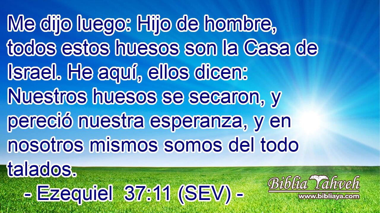Me dijo luego: Hijo de hombre, todos estos huesos son la Casa de Israel. He aquí, ellos dicen: Nuestros huesos se secaron, y pereció nuestra esperanza, y en nosotros mismos somos del todo talados.