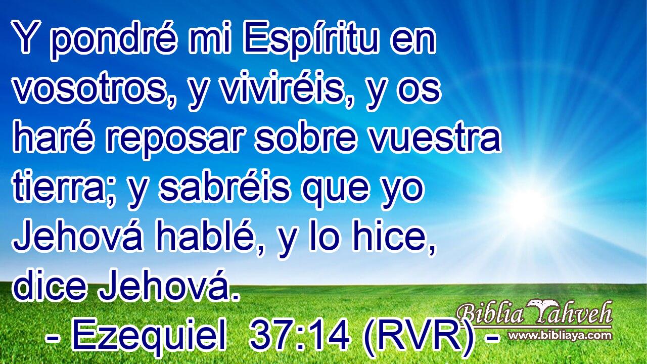 Y pondré mi Espíritu en vosotros, y viviréis, y os haré reposar sobre vuestra tierra; y sabréis que yo Jehová hablé, y lo hice, dice Jehová.