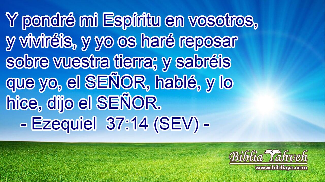 Y pondré mi Espíritu en vosotros, y viviréis, y yo os haré reposar sobre vuestra tierra; y sabréis que yo, el SEÑOR, hablé, y lo hice, dijo el SEÑOR.